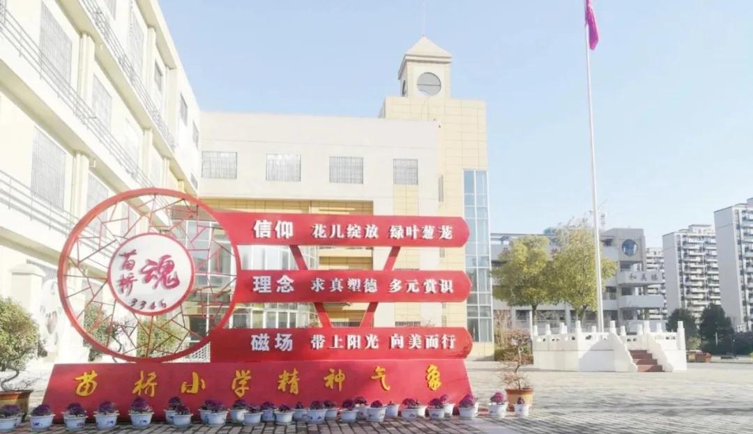 安徽省教育廳廳長趙振華到苗橋小學調(diào)研