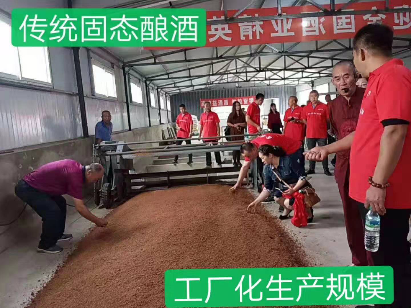 新年美酒等著你——阜陽鑫酒源釀酒廠熱情歡迎你學釀酒