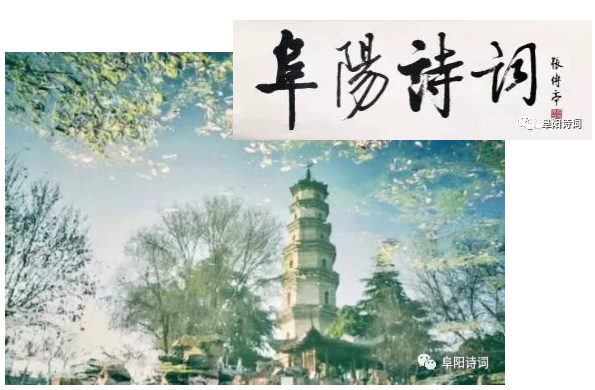 安徽阜陽市詩詞學會到鳳臺四中參觀學習詩教工作