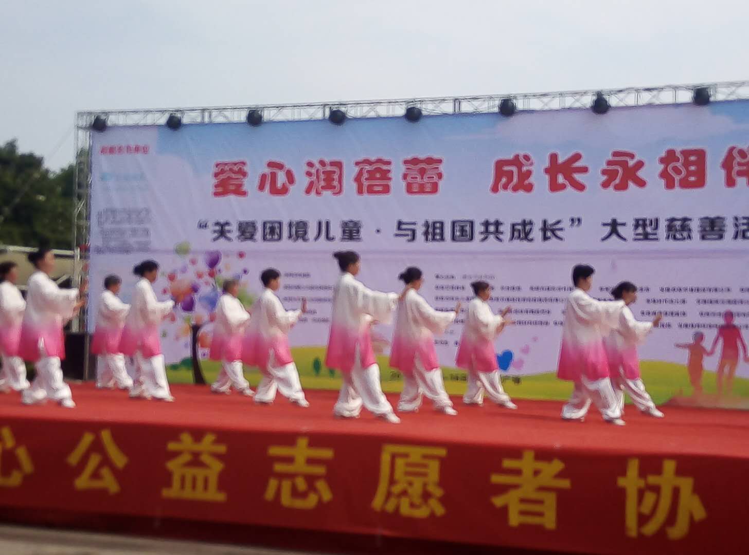 阜陽市愛心公益志愿者協(xié)會舉行“關(guān)愛困境兒童大型義演義賣慈善活動”