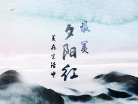 《最美夕陽(yáng)紅》| 好人聚集地：阜陽(yáng)市愛心公益志愿者協(xié)會(huì)