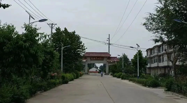 安徽金馬藥業(yè)積極響應(yīng)潁東區(qū)百企興百村計劃對大橋村進(jìn)行幫扶活動