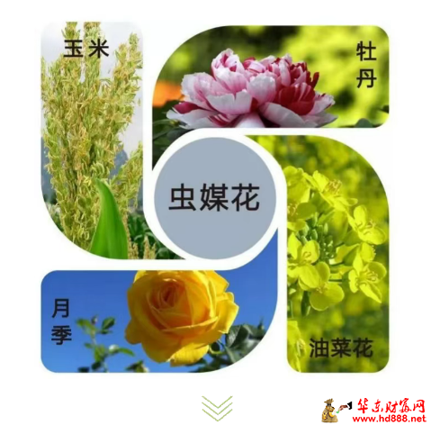 微信圖片_20250330131749.png