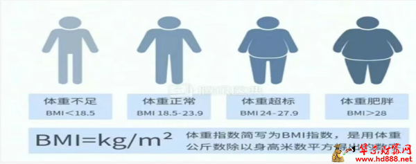 微信圖片_20250404200958.png