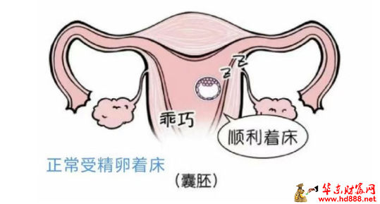 受精卵“迷路”了怎么辦？