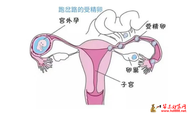 微信圖片_20250418112909.png