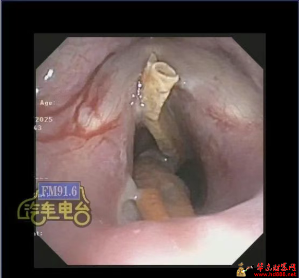 微信圖片_20250530072006.png
