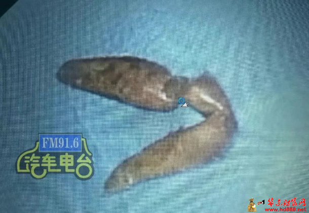 微信圖片_20250530072010.png