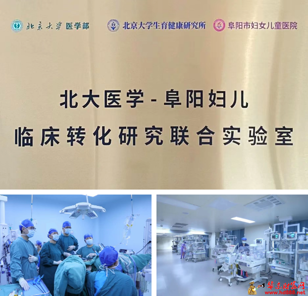 微信圖片_20250615152203.png