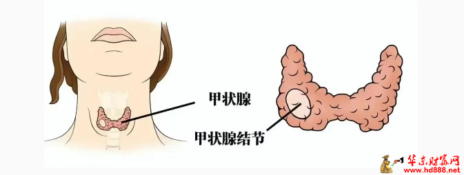 微信圖片_2025-07-12_161723_127.png
