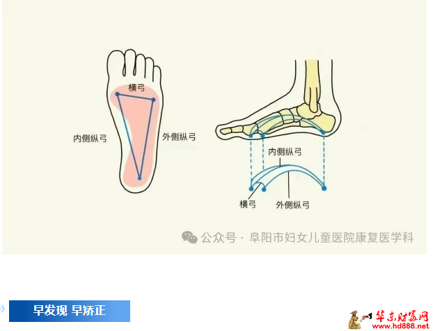 微信圖片_2025-07-23_095608_432.png
