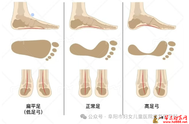 微信圖片_2025-07-23_095612_543.png