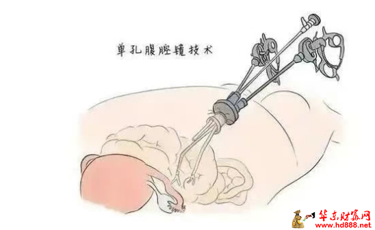 微信圖片_20250727153213_256.png